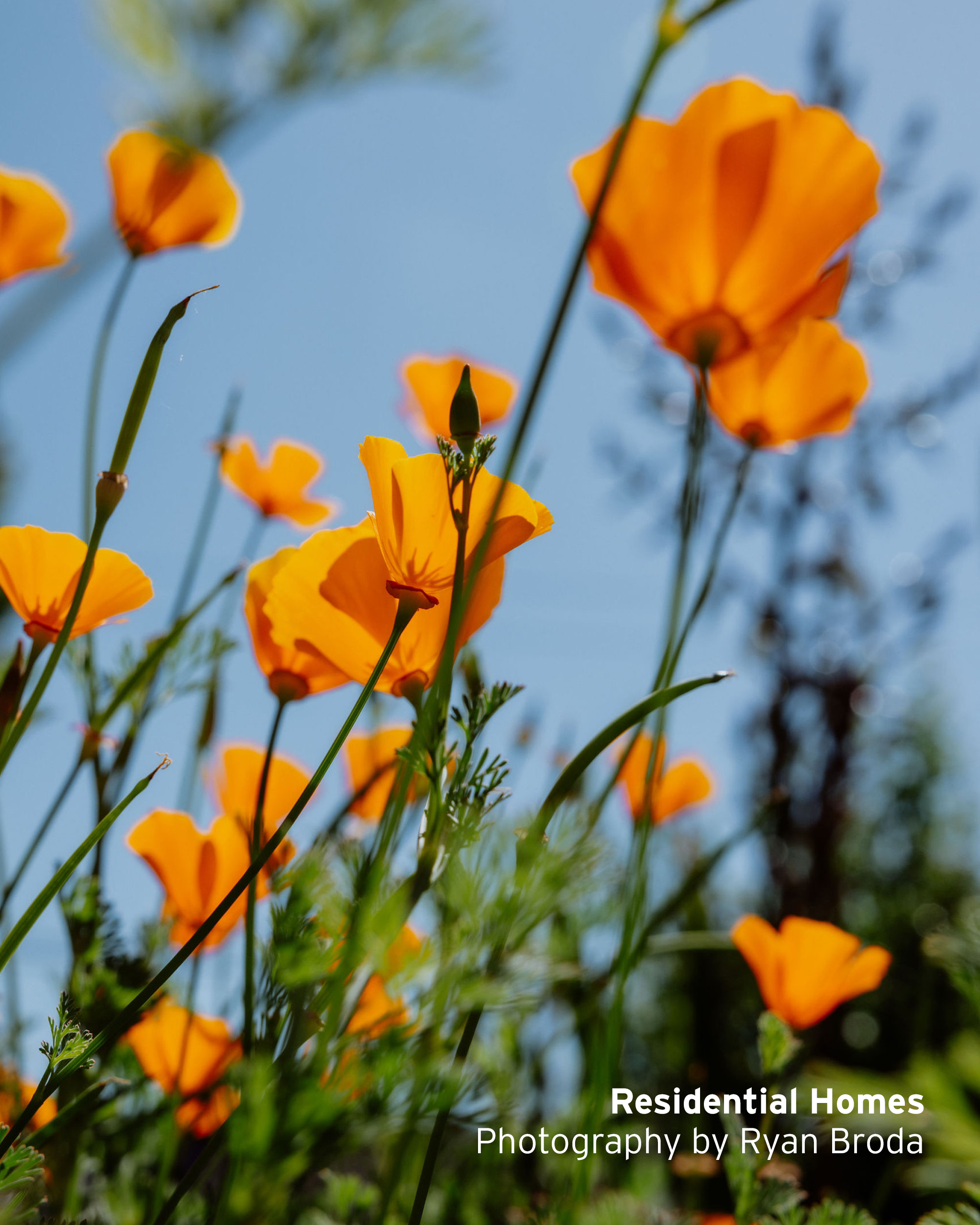 photo04